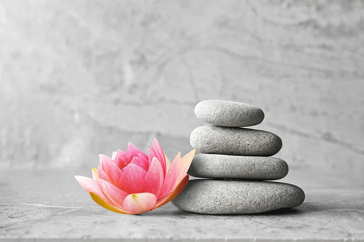 The Importance of Self-Care in a Busy world