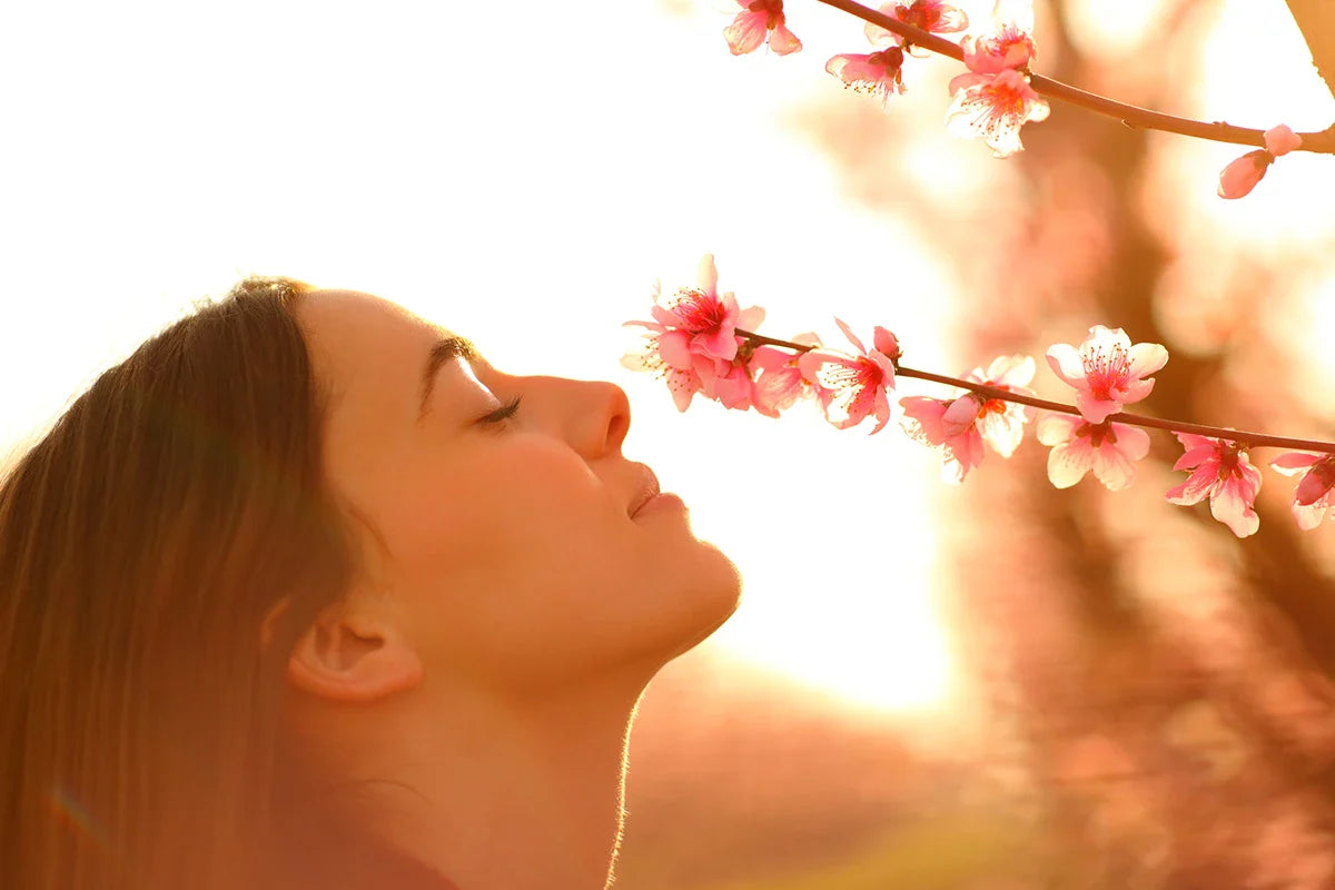Natural Fragrance with Remedy Roll-Ons