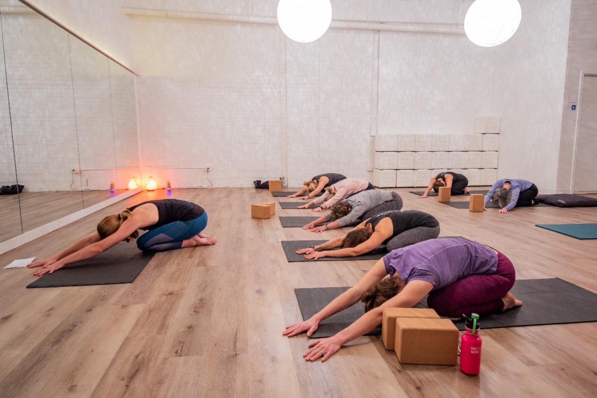 Several women perform a forward fold yoga pose on individual mats in a bright studio.  Wooden blocks are used as props.