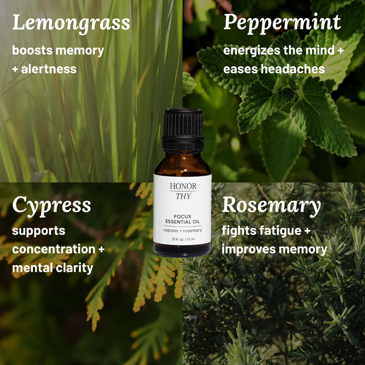 Focus Diffuser Blend